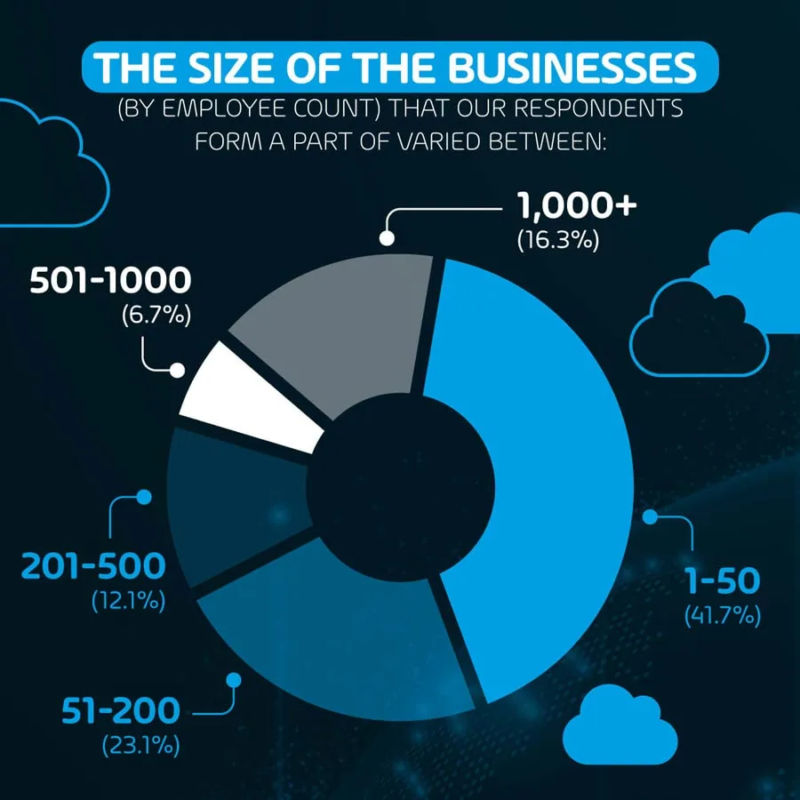 About the hybrid cloud survey respondents