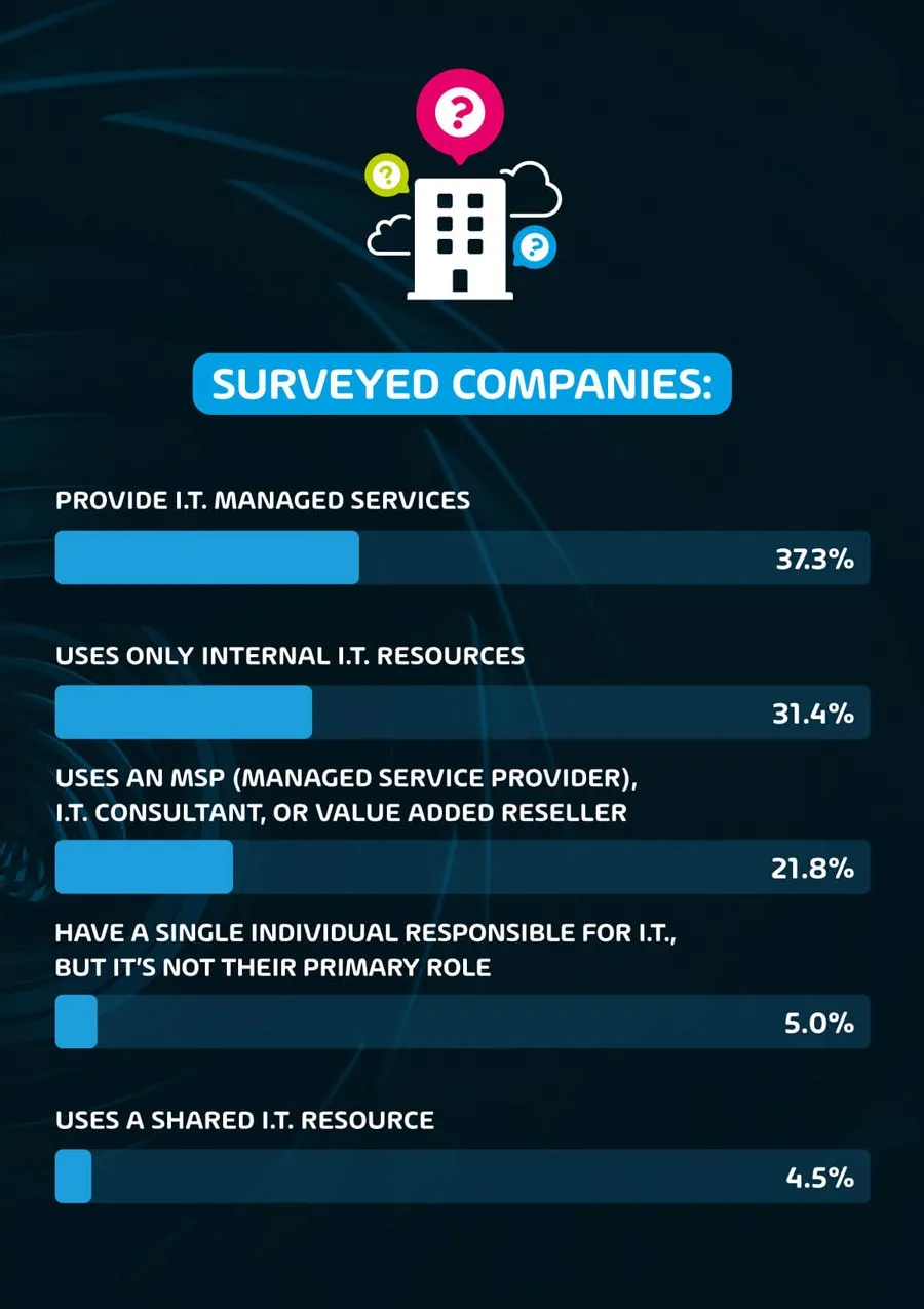 About the IT security & compliance survey respondents