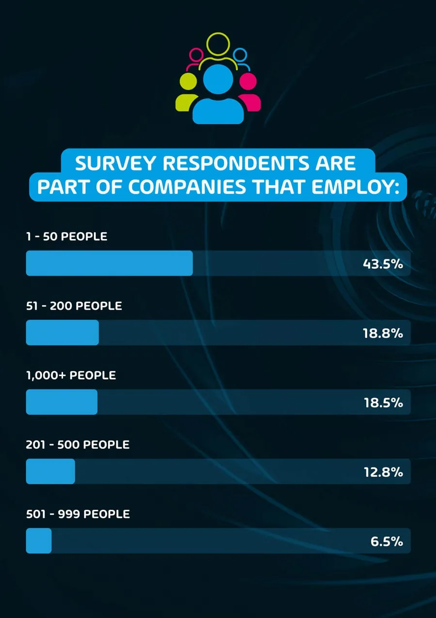 About the IT security & compliance survey respondents