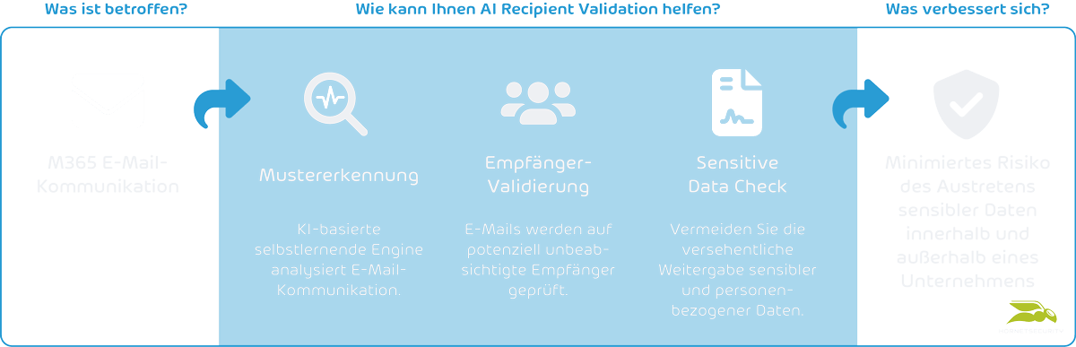 AI Recipient Validation Scheme DE