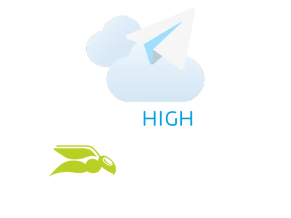 Fly High Campaign