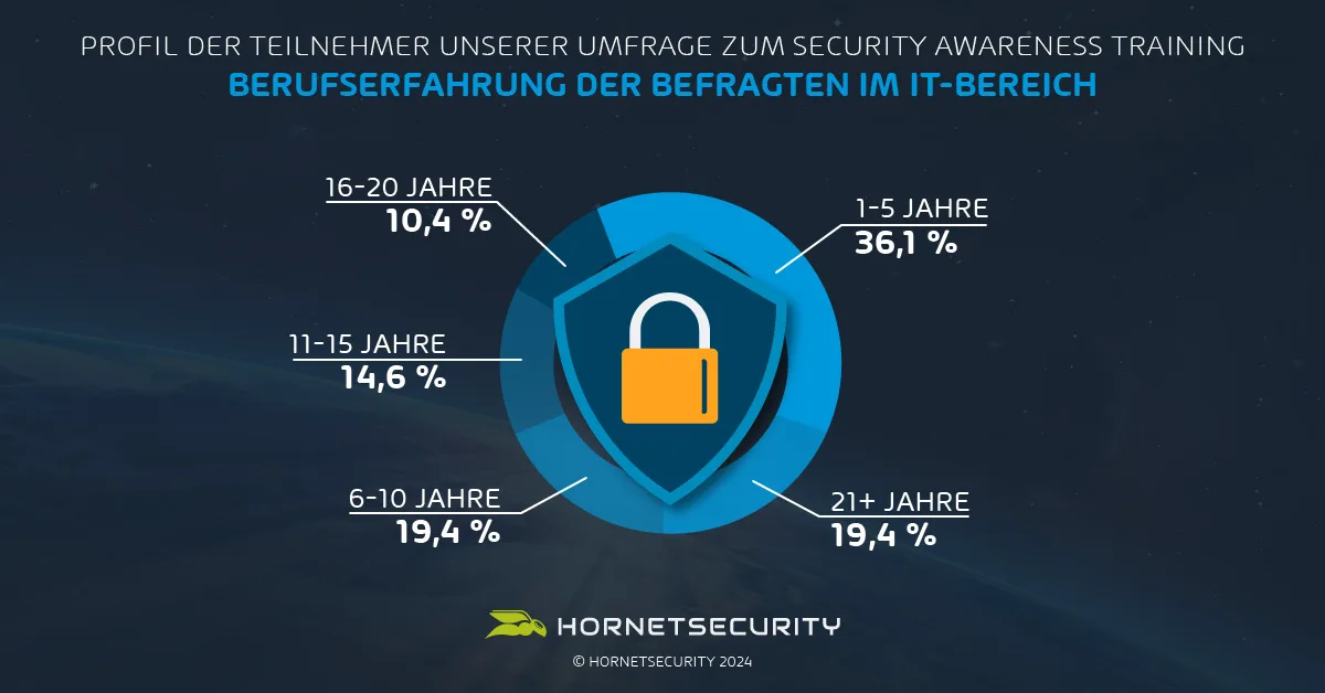 Berufserfahrung der Befragten im IT-Bereich