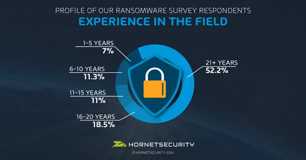 Experience in the IT Field of survey Respondents