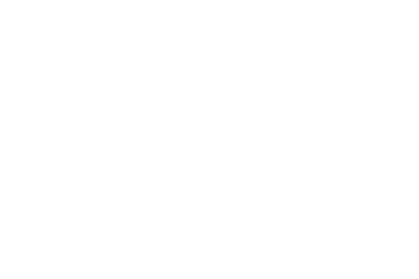 TDK Logo