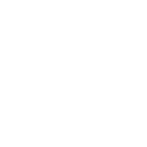 Icon  Magnifying glass in white