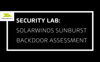 SolarWinds SUNBURST Backdoor Analyse