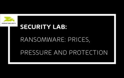 Ransomware: Prices, Pressure and Protection