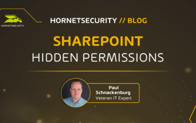 Security Concerns of Hidden Permissions in SharePoint